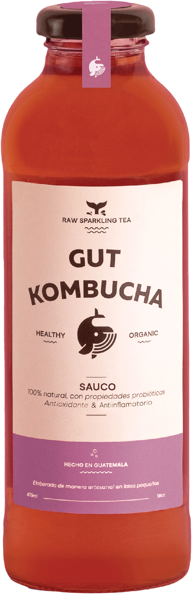 Kombucha Sauco